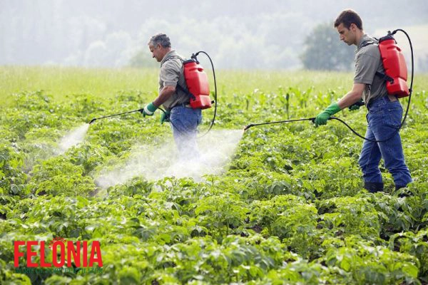 محلول پاشی و آبیاری قطره ای